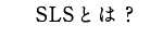 SLSとは？